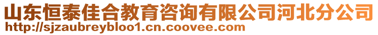 山東恒泰佳合教育咨詢有限公司河北分公司