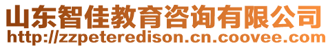 山東智佳教育咨詢有限公司