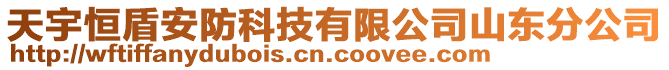 天宇恒盾安防科技有限公司山東分公司