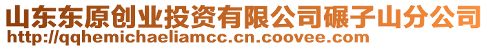 山東東原創(chuàng)業(yè)投資有限公司碾子山分公司