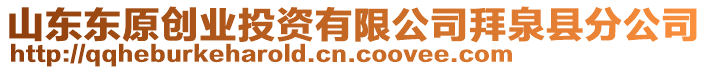 山東東原創(chuàng)業(yè)投資有限公司拜泉縣分公司