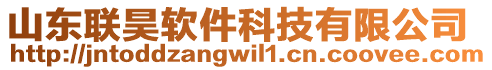 山東聯(lián)昊軟件科技有限公司