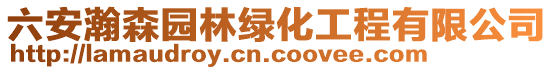 六安瀚森園林綠化工程有限公司