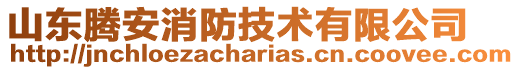 山東騰安消防技術有限公司