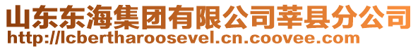 山東東海集團(tuán)有限公司莘縣分公司