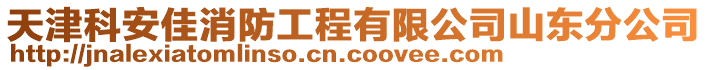 天津科安佳消防工程有限公司山东分公司