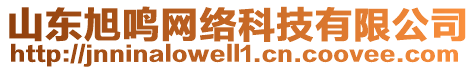 山東旭鳴網(wǎng)絡(luò)科技有限公司