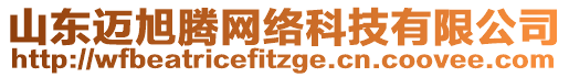 山東邁旭騰網絡科技有限公司