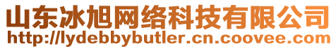 山東冰旭網(wǎng)絡(luò)科技有限公司