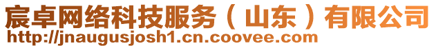 宸卓網(wǎng)絡(luò)科技服務(wù)（山東）有限公司