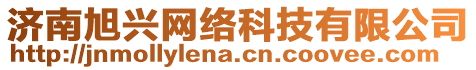 濟(jì)南旭興網(wǎng)絡(luò)科技有限公司