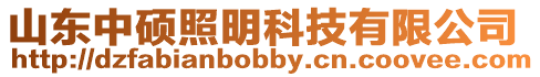 山東中碩照明科技有限公司