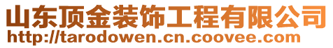 山东顶金装饰工程有限公司