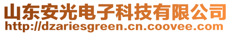 山東安光電子科技有限公司