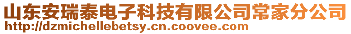 山東安瑞泰電子科技有限公司常家分公司