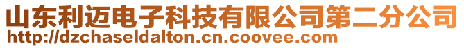 山東利邁電子科技有限公司第二分公司