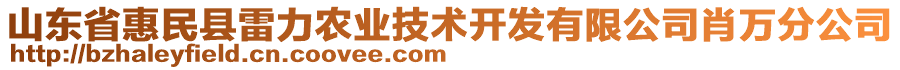 山東省惠民縣雷力農(nóng)業(yè)技術(shù)開發(fā)有限公司肖萬分公司