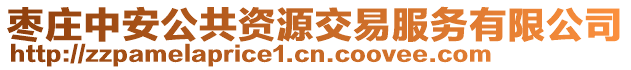 棗莊中安公共資源交易服務(wù)有限公司