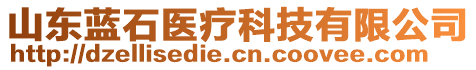 山東藍(lán)石醫(yī)療科技有限公司