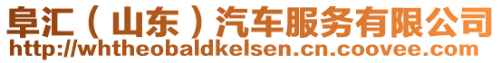 阜匯(山東)汽車服務有限公司