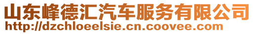 山東峰德匯汽車服務(wù)有限公司
