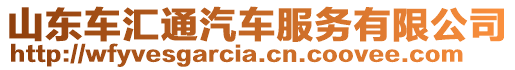 山东车汇通汽车服务有限公司