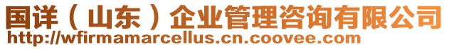 國詳（山東）企業(yè)管理咨詢有限公司