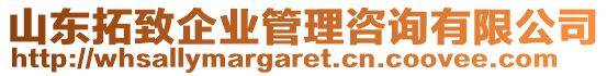 山東拓致企業(yè)管理咨詢有限公司