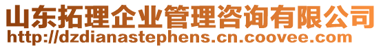 山東拓理企業(yè)管理咨詢(xún)有限公司