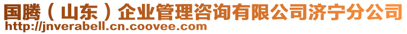 國騰（山東）企業(yè)管理咨詢有限公司濟寧分公司