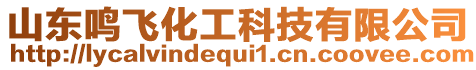 山東鳴飛化工科技有限公司