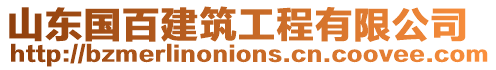 山東國百建筑工程有限公司