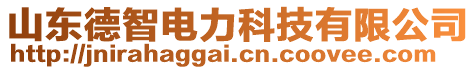 山東德智電力科技有限公司