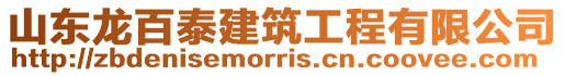 山東龍百泰建筑工程有限公司