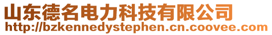 山東德名電力科技有限公司
