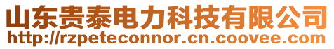 山東貴泰電力科技有限公司