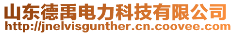山東德禹電力科技有限公司