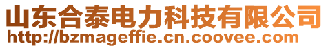 山東合泰電力科技有限公司