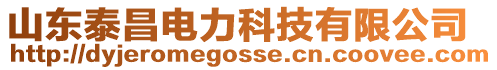 山東泰昌電力科技有限公司