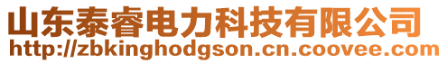 山東泰睿電力科技有限公司