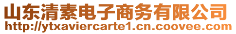 山東清素電子商務有限公司