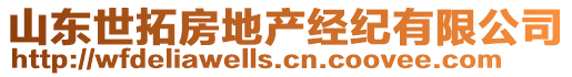 山東世拓房地產(chǎn)經(jīng)紀有限公司