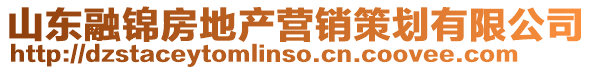 山東融錦房地產營銷策劃有限公司