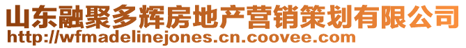 山東融聚多輝房地產(chǎn)營銷策劃有限公司