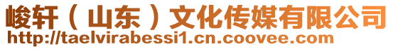 峻軒(山東)文化傳媒有限公司