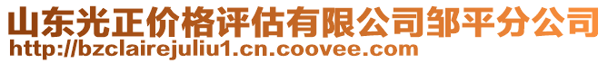 山東光正價(jià)格評(píng)估有限公司鄒平分公司