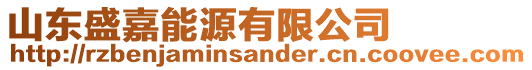 山東盛嘉能源有限公司