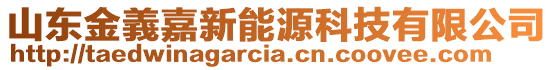 山东金義嘉新能源科技有限公司