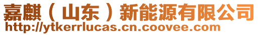 嘉麒（山東）新能源有限公司