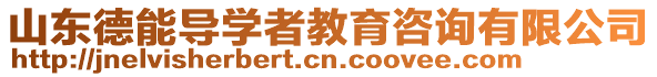 山东德能导学者教育咨询有限公司